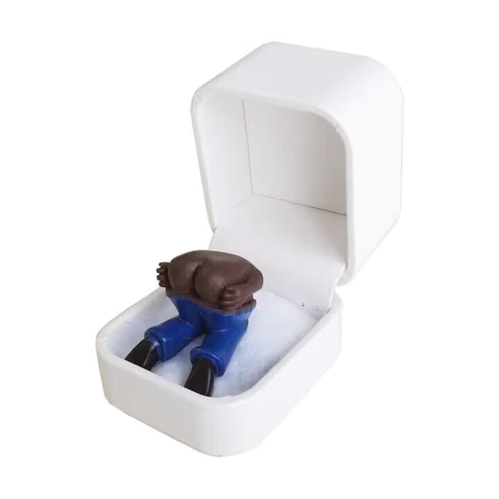 farting butt in ring box noring by ahlwo