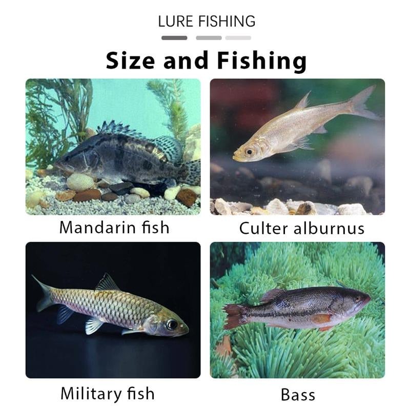 🏆#1 Best Seller ⏰6Pcs Multiple Pre-Rigged Jig Head Soft FishingLures