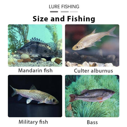 🏆#1 Best Seller ⏰6Pcs Multiple Pre-Rigged Jig Head Soft FishingLures